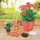 Kit Conjunto Mini Para Jardinagem 4 Peças Cabo Madeira | Tram